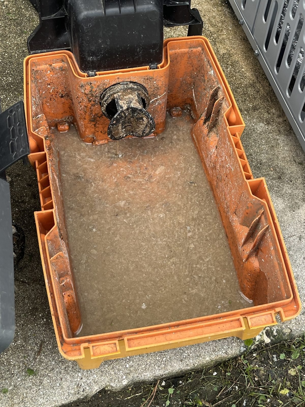 Different building, same recipe. A cup of vinegar a month & this stays a clean drain line.